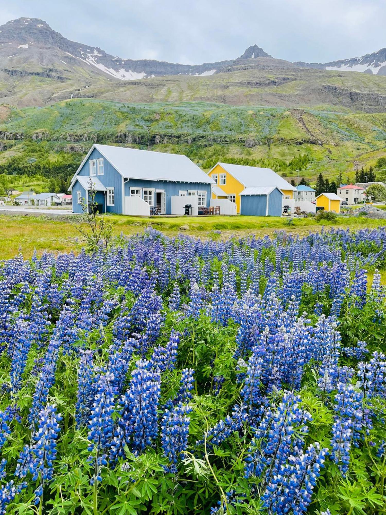 Lonsleira Apartments Seyðisfjörður Buitenkant foto
