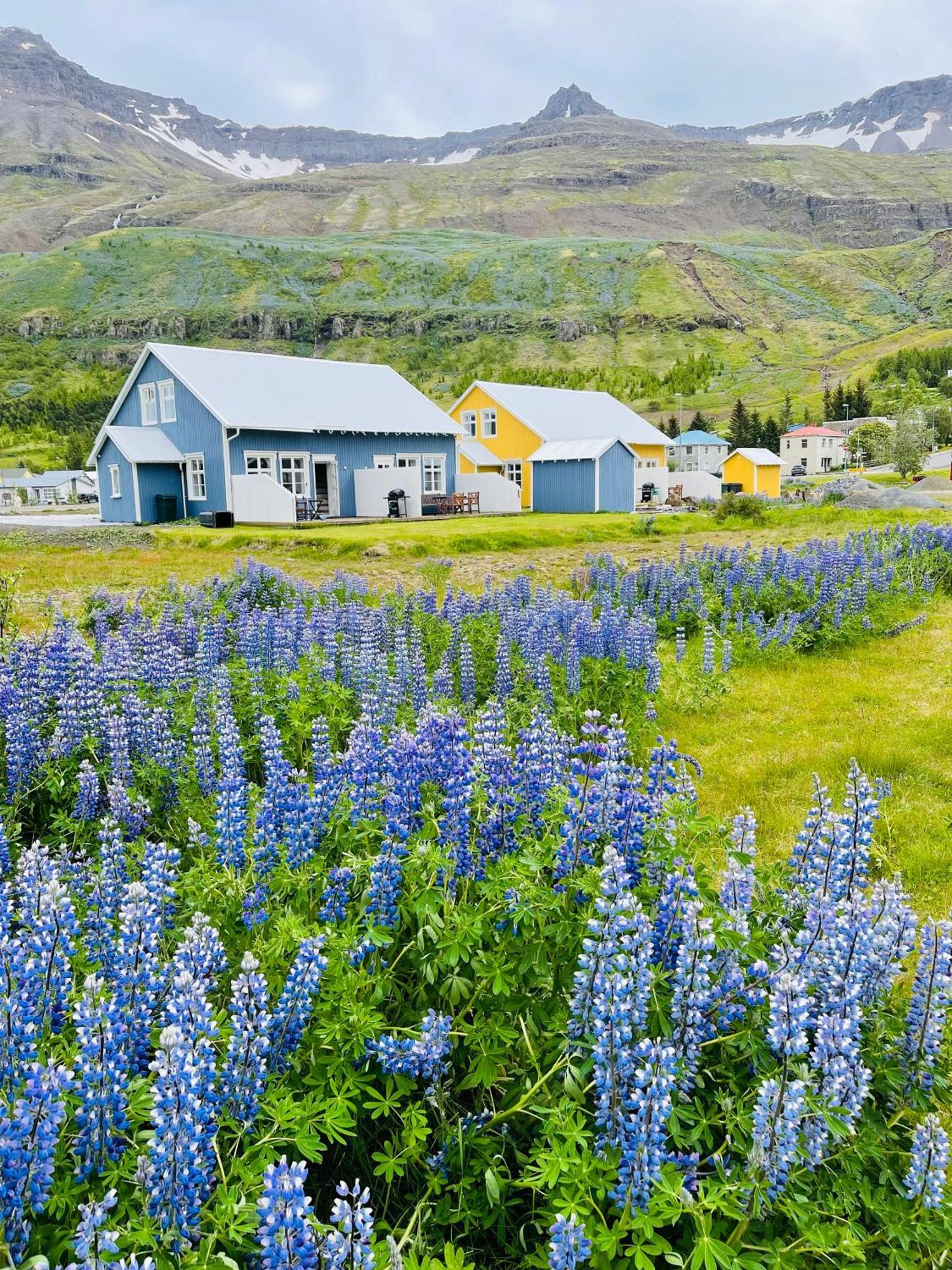 Lonsleira Apartments Seyðisfjörður Buitenkant foto